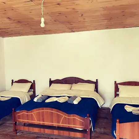 Homestay Vila Silvester